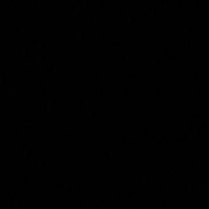 Meet your Posher, Traevionnia